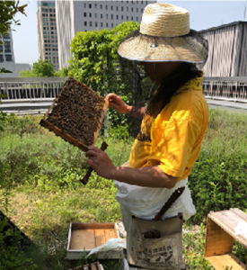 丸の内ハニープロジェクト