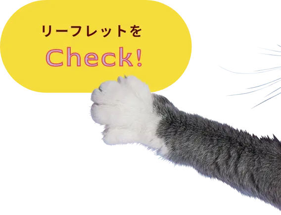 リーフレットをCheck!