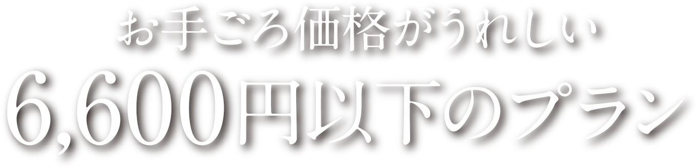 お手ごろ価格がうれしい 6,600円以下のプラン